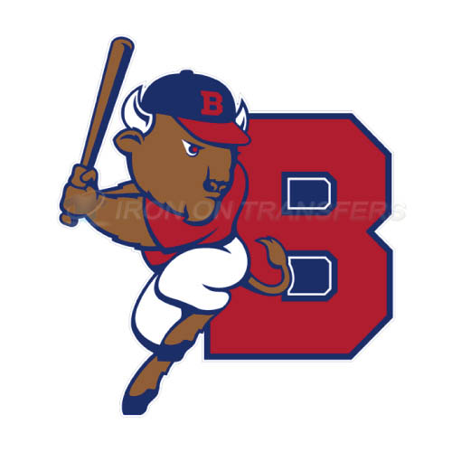 Buffalo Bisons Iron-on Stickers (Heat Transfers)NO.7933